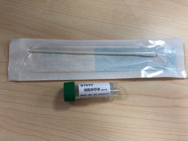 Sample Collection Tube with Swab-T319