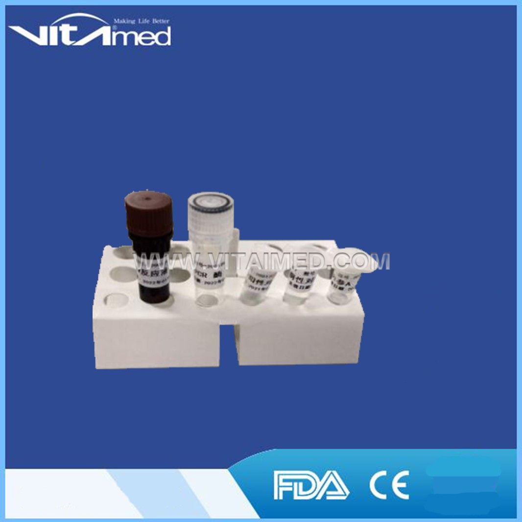 2019-Novel Coronavirus (2019-nCoV) RT-PCR Detection Kit