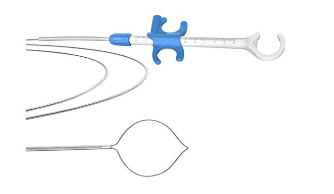 Disposable Polypectomy Snare